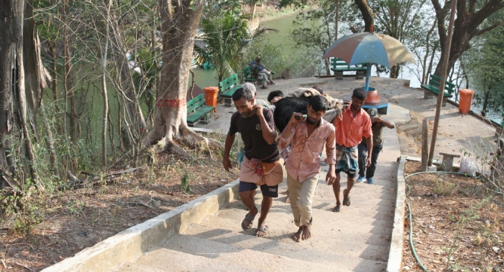 মেঘলা চিড়িয়াখানা বন্ধ, ২৫ প্রাণীর নতুন ঠিকানা ডুলাহাজারা সাফারি পার্ক